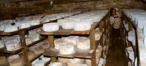 Randonnée à la ferme en Cévennes (prix 420 €) ARRHES/pers SUR RESERVATION
