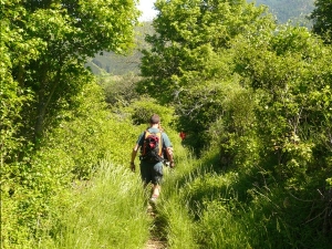 Randonnée Parc national des Cévennes (prix 530€) ARRHES/pers RESERVATION