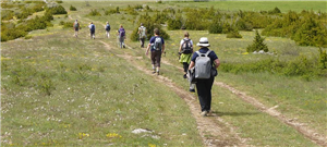 Chemin Saint Guilhem nord (prix (à partir de 660 €) ARRHES/pers SUR RESERVATION