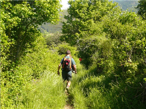 Randonnée Chemin de Compostelle 1 (à partir de 540 €) ARRHES/pers RESER.