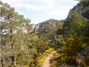 Randonnée Gorges du Tarn (à partir de 625 €) ARRHES/pers SUR RESERVATION