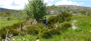 Randonnée Parc national des Cévennes (à partir de 670 €) ARRHES/pers RESERVATION