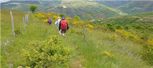 Chemin Stevenson sud (à partir de 725 €) ARRHES/pers SUR RESERVATION