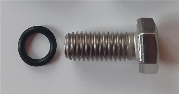 Vis 8 x 20mm INOX avec joint pour AS, RAUMER
