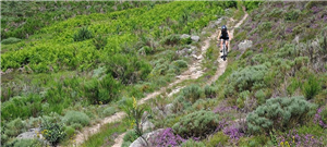 Chemin de Stevenson en VTT (à partir de 490 €) ARRHES/pers SUR RESERVATION